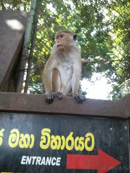 Трудный путь за знаниями и приключениями.