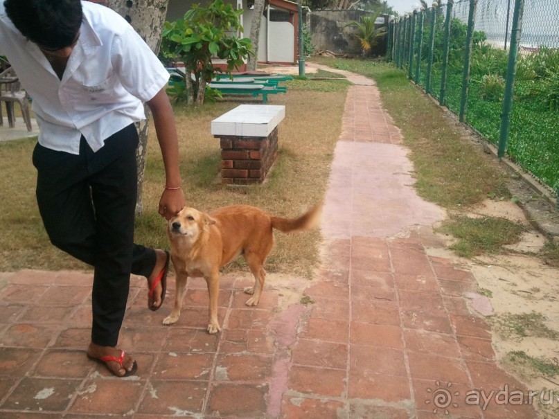 Советский Союз глазами зарубежных гостей.