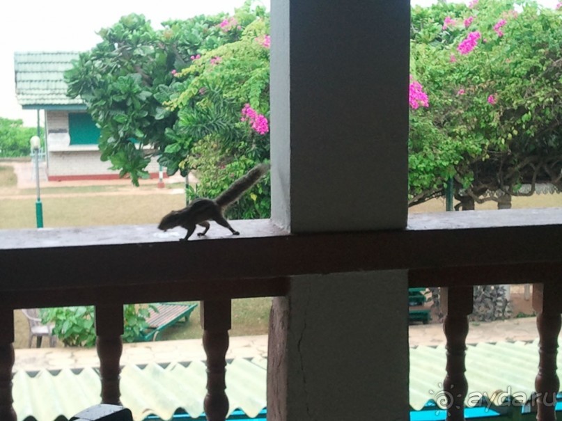 Советский Союз глазами зарубежных гостей.