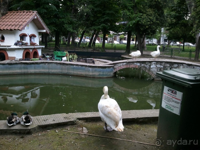Хороший отель и вкусные завтраки.