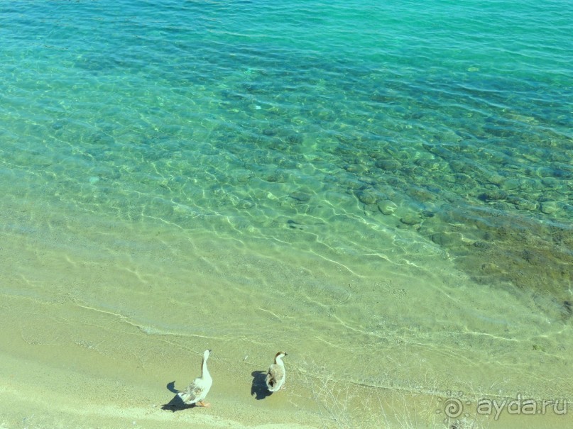 Сказочный релакс, не исключено, что через несколько лет вернусь...