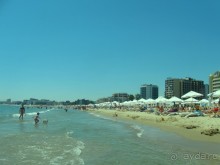 фото Маджестик