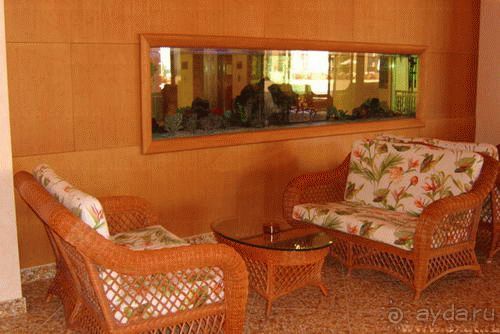 Прошел год, а я до сих пор вспоминаю этот отдых и величественный Majestic