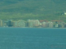 фото Маджестик