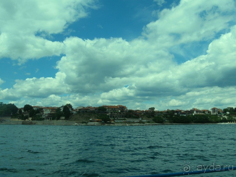 фото Маджестик