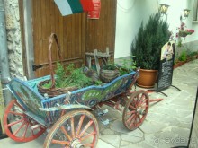 фото Маджестик