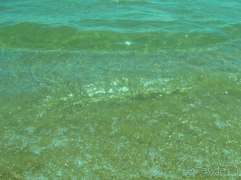 Черное море Солнечного Берега