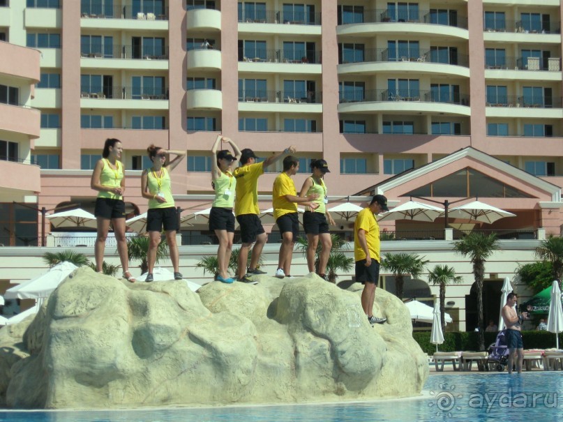 Наши замечательные аниматоры