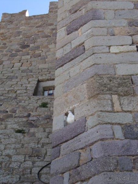 Патмос. Путешествие на автомобиле острову Патмос, май 2011 год