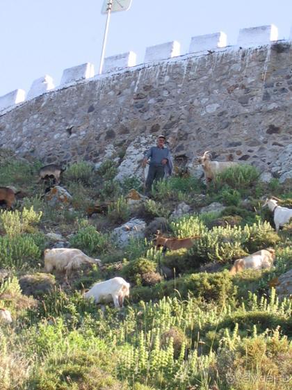 Патмос. Путешествие на автомобиле острову Патмос, май 2011 год