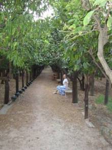 Хиос. Путешествие на автомобиле по греческим островам. Продолжение. Остров Хиос. 2011 год