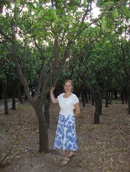 Хиос. Путешествие на автомобиле по греческим островам. Продолжение. Остров Хиос. 2011 год