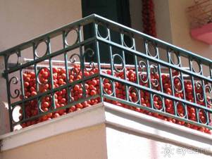 Хиос. Путешествие на автомобиле по греческим островам. Продолжение. Остров Хиос. 2011 год