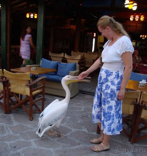 Лесбос. Путешествие на автомобиле по греческим островам. Начало. Остров Лесбос, 2011 год