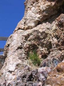 Лесбос. Путешествие на автомобиле по греческим островам. Начало. Остров Лесбос, 2011 год