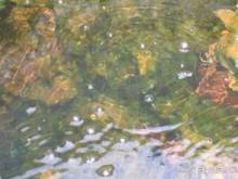 Лесбос. Путешествие на автомобиле по греческим островам. Начало. Остров Лесбос, 2011 год