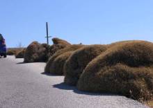 Лесбос. Путешествие на автомобиле по греческим островам. Начало. Остров Лесбос, 2011 год