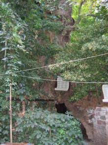 Лесбос. Путешествие на автомобиле по греческим островам. Начало. Остров Лесбос, 2011 год