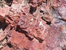 Лесбос. Путешествие на автомобиле по греческим островам. Начало. Остров Лесбос, 2011 год