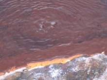 Лесбос. Путешествие на автомобиле по греческим островам. Начало. Остров Лесбос, 2011 год