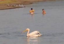 Лесбос. Путешествие на автомобиле по греческим островам. Начало. Остров Лесбос, 2011 год