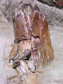 Лесбос. Путешествие на автомобиле по греческим островам. Начало. Остров Лесбос, 2011 год