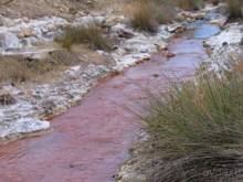 Лесбос. Путешествие на автомобиле по греческим островам. Начало. Остров Лесбос, 2011 год