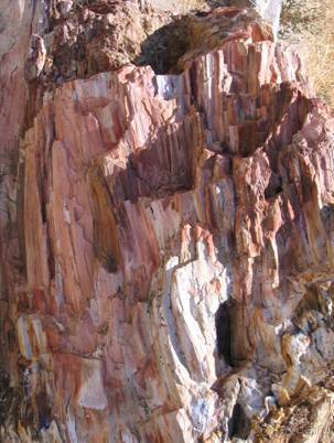 Лесбос. Путешествие на автомобиле по греческим островам. Начало. Остров Лесбос, 2011 год