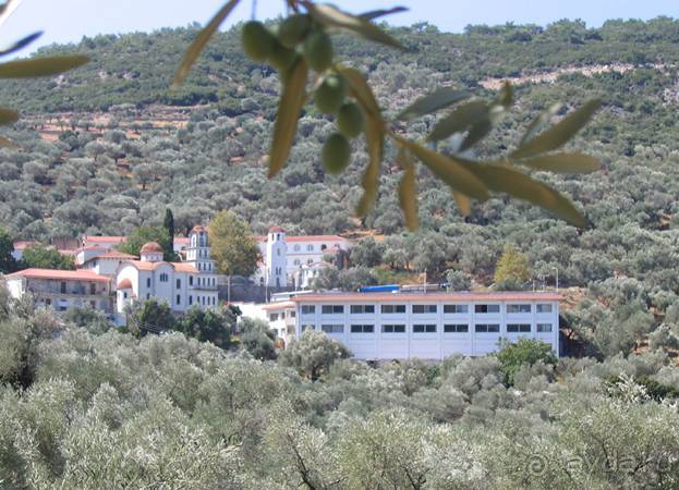 Лесбос. Путешествие на автомобиле по греческим островам. Начало. Остров Лесбос, 2011 год