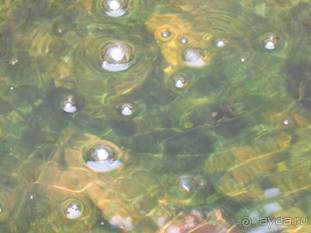 Лесбос. Путешествие на автомобиле по греческим островам. Начало. Остров Лесбос, 2011 год