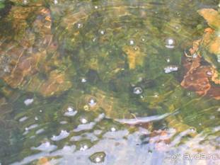 Лесбос. Путешествие на автомобиле по греческим островам. Начало. Остров Лесбос, 2011 год