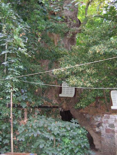 Лесбос. Путешествие на автомобиле по греческим островам. Начало. Остров Лесбос, 2011 год