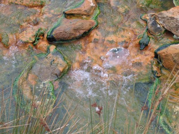 Лесбос. Путешествие на автомобиле по греческим островам. Начало. Остров Лесбос, 2011 год