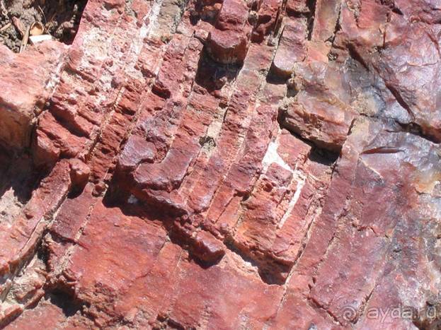 Лесбос. Путешествие на автомобиле по греческим островам. Начало. Остров Лесбос, 2011 год