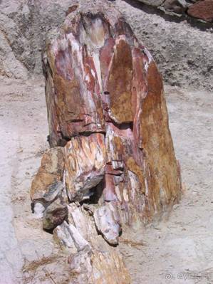 Лесбос. Путешествие на автомобиле по греческим островам. Начало. Остров Лесбос, 2011 год