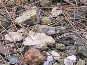 Лесбос. Путешествие на автомобиле по греческим островам. Начало. Остров Лесбос, 2011 год