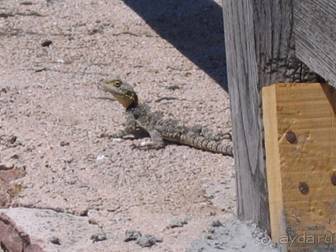Лесбос. Путешествие на автомобиле по греческим островам. Начало. Остров Лесбос, 2011 год