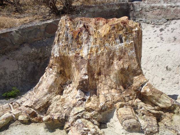 Лесбос. Путешествие на автомобиле по греческим островам. Начало. Остров Лесбос, 2011 год