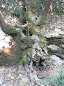 Самос. Путешествие на автомобиле по греческим островам. Продолжение. Остров Самос. 2011 год