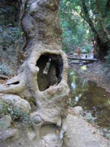 Самос. Путешествие на автомобиле по греческим островам. Продолжение. Остров Самос. 2011 год