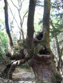 Самос. Путешествие на автомобиле по греческим островам. Продолжение. Остров Самос. 2011 год