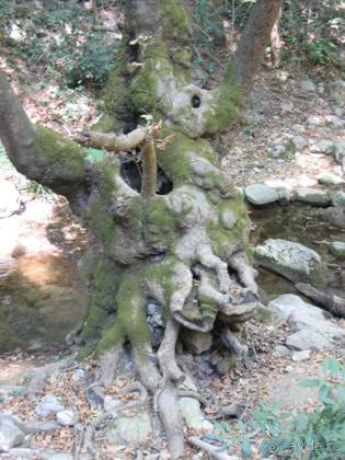 Самос. Путешествие на автомобиле по греческим островам. Продолжение. Остров Самос. 2011 год