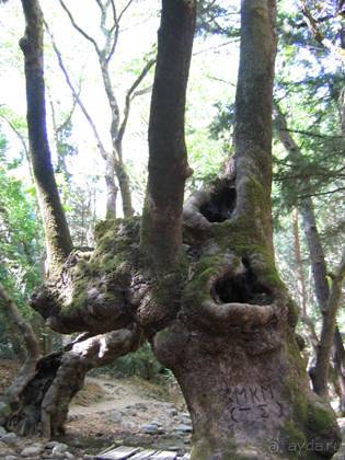 Самос. Путешествие на автомобиле по греческим островам. Продолжение. Остров Самос. 2011 год