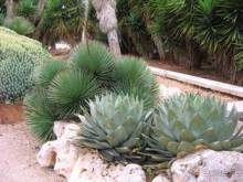 Путешествие на автомобиле по Майорке, Май-июнь 2012 года