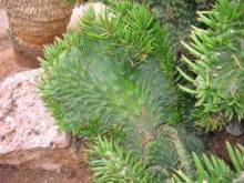 Путешествие на автомобиле по Майорке, Май-июнь 2012 года