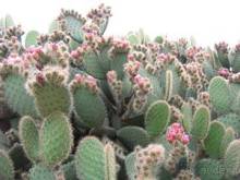 Путешествие на автомобиле по Майорке, Май-июнь 2012 года