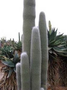 Путешествие на автомобиле по Майорке, Май-июнь 2012 года