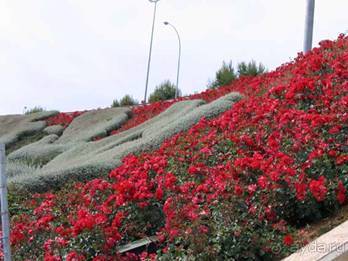 Путешествие на автомобиле по Майорке, Май-июнь 2012 года