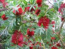 Путешествие на автомобиле по Майорке, Май-июнь 2012 года