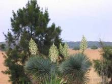 Путешествие на автомобиле по Майорке, Май-июнь 2012 года